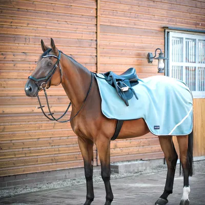 Produktbild von BUSSE Ausreitdecke Fleecetrainer III Silver Pine (Schwarz) 145
