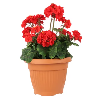 Produktbild von Blumentopf Rund Übertopf Blumenkasten Abmessungen (DxH) 15 cm x 11,5 cm Volumen 1 L Farbe Terrakotta Kunststoff 12 Große Pflanzkübel traditionell