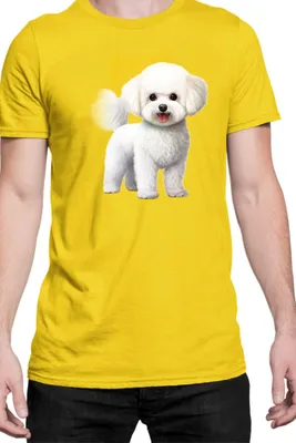 Zdjęcie produktu dla Męska Koszulka Dogs Breeds Bichon Frise Dog Breed 005, Man L / Żółty