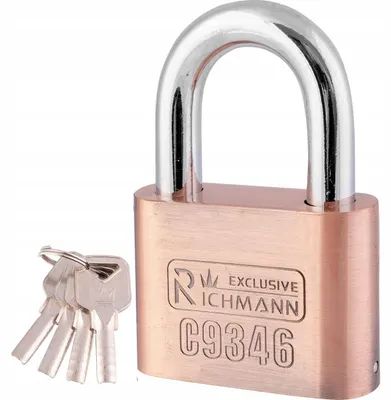 Produktbild von RICHMANN C9346 Stahl Vorhängeschloss Bügel 60 mm