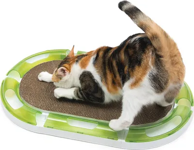 Produktbild von Catit Senses 2.0 oval Scratcher