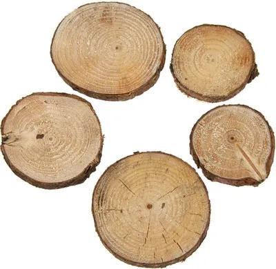 Obrázok produktu pre Drevené plátky 40g - 4-7 ks.