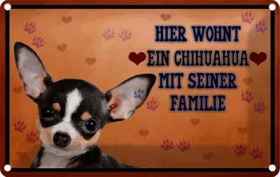 Produktbild von vianmo Blechschild 20x30 cm Hund hier wohnt ein Chihuahua Tier Haustier