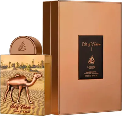 A perfume bottle and its box are displayed against a white background.