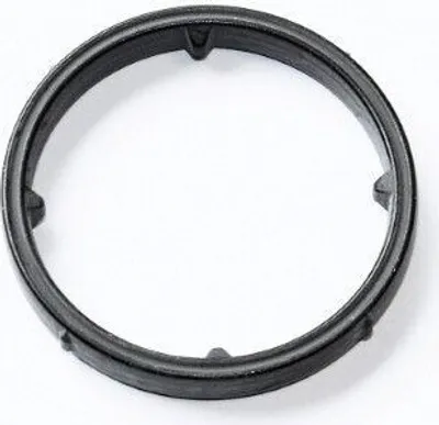 Immagine prodotto di Guarnizione ELRING 003.190