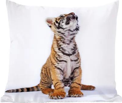 Produktbild von MuchoWow® Zierkissen Sofakissen Wohnzimmer Dekokissen 50x50 cm Tiger - Jungtier - Weiß - Komfort - Sofakissen