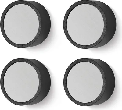 Produktbild von ZACK Edelstahl Magnet Set MONOR 4 Stück Magnete Magneten 2 cm 30768