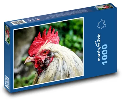 Obrázek produktu pro Puzzle 1000 Kohout na zelené louce - martinpuzzle