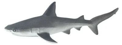 Produktbild von Safari Ltd Gray Reef Shark Figur Grau From 3 Years Grau From 3 Years