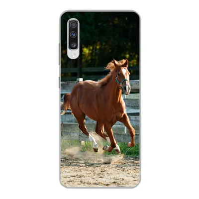 Produktbild von MuchoWow® Handyhülle Schutzhülle Hülle für Samsung Galaxy A70 Pferd - Licht - Sand Silikon Softcase Handy Hülle - Schutzhaube