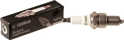 Zdjęcie produktu dla Świeca zapłonowa Cedrus F6RTC Honda 10 szt. w opakowaniu CEDSW006