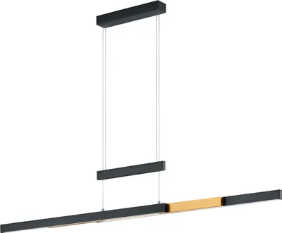 Zdjęcie produktu dla Lampa wisząca LED TRAJAN czarny Trio 375310502