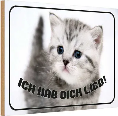 Produktbild von vianmo Holzschild 20x30 cm Katze ich hab dich lieb Tier Haustier