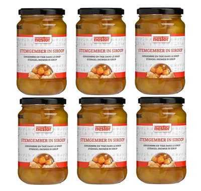 Produktbild von [ 6x 450g / 240g ATG ] nestor Ingwer in Sirup / Ginger in Syrup / Gember