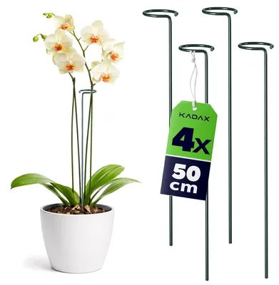 Obrázek produktu pro KADAX opory pro květiny 50 cm, sada 4 ks, ocelové opory pro rostliny, držáky na orchideje, tyčky pro stabilizaci stonků a květů, tyčky pro orchideje