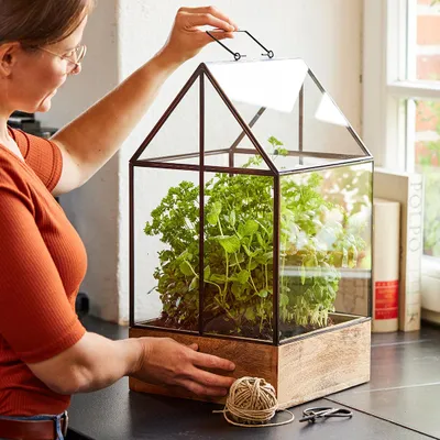 Produktbild von Hochwertiges Anzucht- & Mini-Gewächshaus aus Holz – Handgefertigt & nachhaltig – Recyceltes Holz im Vintage-Look – Ideal für Kräuter & Gemüse