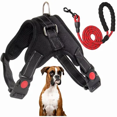 Produktbild von Verstellbarer Hundegeschirr aus atmungsaktivem Material