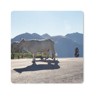 Produktbild von MuchoWow® Mauspad Mousepad Schottische Highlander - Licht - Berge - Natur 20x20 cm - Mousepads - Maus Mat - Pad - Mausunterlage - Desk Mat - Bureauartikeln