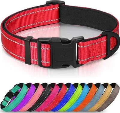 Productafbeelding van Ibenzoa® Verstelbare, reflecterende nylonhalsband voor honden met neopreenvoering, ABS-snelsluiting en D-ring, sneldrogend, verkrijgbaar in de maten XS–XL (geschikt voor kleine honden)