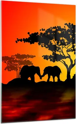 Produktbild von Bilder auf glas - Einteilig - Tiere Safari Savanne Giraffe - 70x100cm - Glasbilder - Wandbilder - Bilder - Wanddekoration aus Glas - Glas Bilder - Wandbild auf Glas - GPA70x100-0539