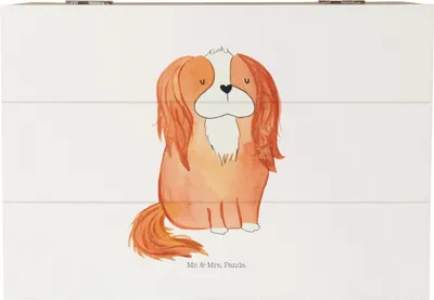 Produktbild von Mr. & Mrs. Panda Schatulle Hund Cavalier King Charles Spaniel 22 x 15 cm - Weiß - Geschenk, Schlappohren, fotobox, Kiste mit Deckel, Holzbox, Sprüche, Box, Spruch