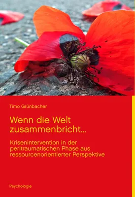 Produktbild von Wenn die Welt zusammenbricht...