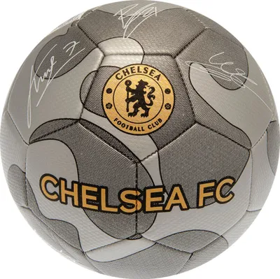 Obrázek produktu pro Chelsea FC - Fotbalové maskáče TA11047 (5) (stříbrná/zlatá)
