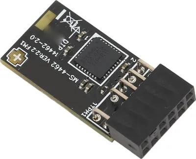 A close-up, angled view of a black TPM 2.0 module with silver pins and markings.