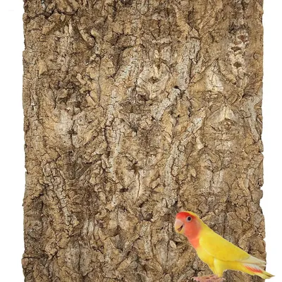 Obrázek produktu pro Korková kůra pro ptáky a plazy, rozměry 30 x 40 cm