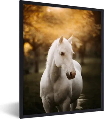 Produktbild von MuchoWow® Gerahmtes Poster Pferd - Sonne - Herbst - Tiere - Natur 60x80 cm - Poster mit Schwarzem Bilderrahmen Wandposter Rahmen Foto Bilder - Premium - Wanddeko Wohnzimmer