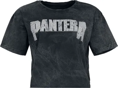 Produktbild von Pantera T-Shirt Damen Logo schwarz Band-Merch, Bands 100% Baumwolle XXL