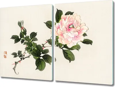 Produktbild von Coloray Hackbrett Küchenbrett Kochplattenabdeckung Schneidebrett Herdabdeckplatte 2x40x52 cm - asiatische Blumen