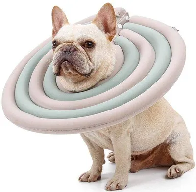 Productafbeelding van Halsband voor kat en hond - Beschermkraag - Chirurgische halsband - Schattig kostuum van zacht materiaal