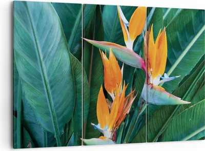 Produktbild von Bild auf Leinwand - Leinwandbild - 3 Teile - Himmlisch Vogel Blume - 105x70cm - Wand Bild - Wanddeko - Wandbilder - Leinwanddruck - Bilder - Wanddekoration - Leinwand bilder - Wandbild - CE105x70-4980
