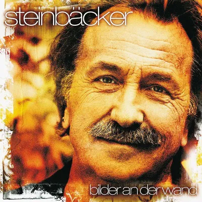 Zdjęcie produktu dla Gert Steinbäcker: Pictures on the wall - (Vinyl / Pop (Vinyl))