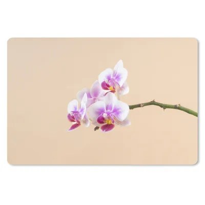 Produktbild von MuchoWow® Mauspad Mousepad Weiße und rosa Orchidee 27x18 cm - Mousepads - Maus Mat - Pad - Mausunterlage - Büroartikel - Desk Matten