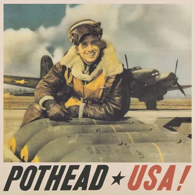Produktbild von Pothead: USA! -   - (CD / U)
