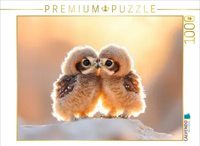 Produktbild von CALVENDO Puzzle Ein Motiv aus dem Kalender Geheimnisvolle Wildnis | 1000 Teile Lege-Größe 64x48cm Foto-Puzzle für glückliche Stunden