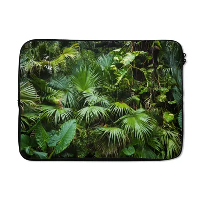 Produktbild von MuchoWow® Laptop Hülle 13 Zoll Palmwedel - Sonne - Tropisch Laptoptasche - Laptophülle - Sleeve - Rundumschutz