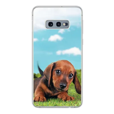 Produktbild von MuchoWow® Handyhülle Schutzhülle Hülle für Samsung Galaxy S10e Schöner Himmel über einem niedlichen Dackelwelpen Silikon Softcase Handy Hülle - Handy
