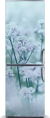 Produktbild von Tulup Kühlschrankdekoration - Magnetmatte - 60 cm x 180 cm - Magnet auf dem Kühlschrank - Astrantia