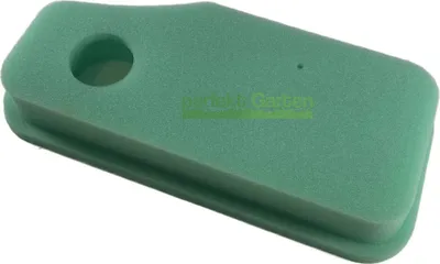 Produktbild von Luftfilter für Briggs & Stratton B&S Motor 10-11PS 251700 / 30099R 7347 5046H