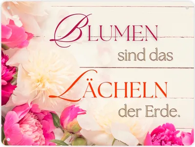 Produktbild von Blumen Metallschild XL in 21x28 cm mit Spruch Blumen sind das Lächeln der Erde