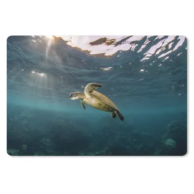 Produktbild von MuchoWow® Mauspad Mousepad Schildkröte im klaren Wasser 27x18 cm - Mousepads - Maus Mat - Pad - Mausunterlage - Büroartikel - Desk Matten