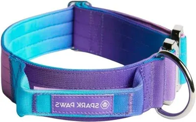 Zdjęcie produktu dla Solidna obroża dla dużych psów, styl retro lat 90., najwyższa jakość