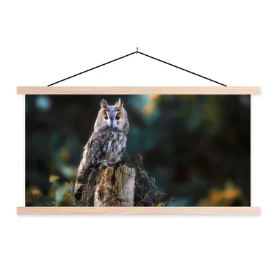 Produktbild von MuchoWow® Textilposter Eule - Herbst - Vogel - Äste 120x60 cm mit holzfarbenen Rahmen - Klemmleiste
