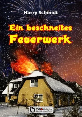 Immagine prodotto di Ein beschneites Feuerwerk