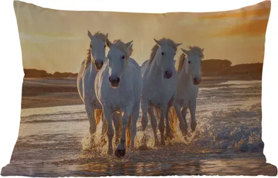 Produktbild von MuchoWow® Outdoor Kissen - Pferde - Wasser - Strand - Tiere - 60x40 cm - Wetterfest - Lounge Kissen - Zierkissen - Kissen für Innenräume