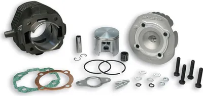 Zdjęcie produktu dla Zestaw cylindrów żeliwnych Malossi D 55 102cc