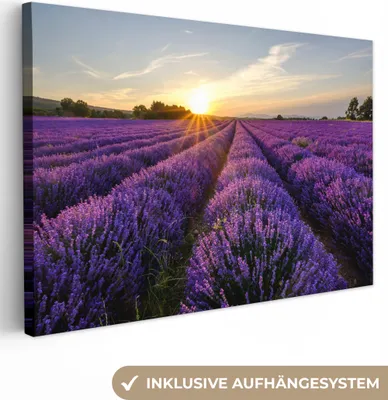 Produktbild von MuchoWow® - Leinwandbilder - Lavendel - Blumen - Sonnenuntergang - Lila, Wandbild, Wanddeko Bilder Wohnzimmer, 90x60cm